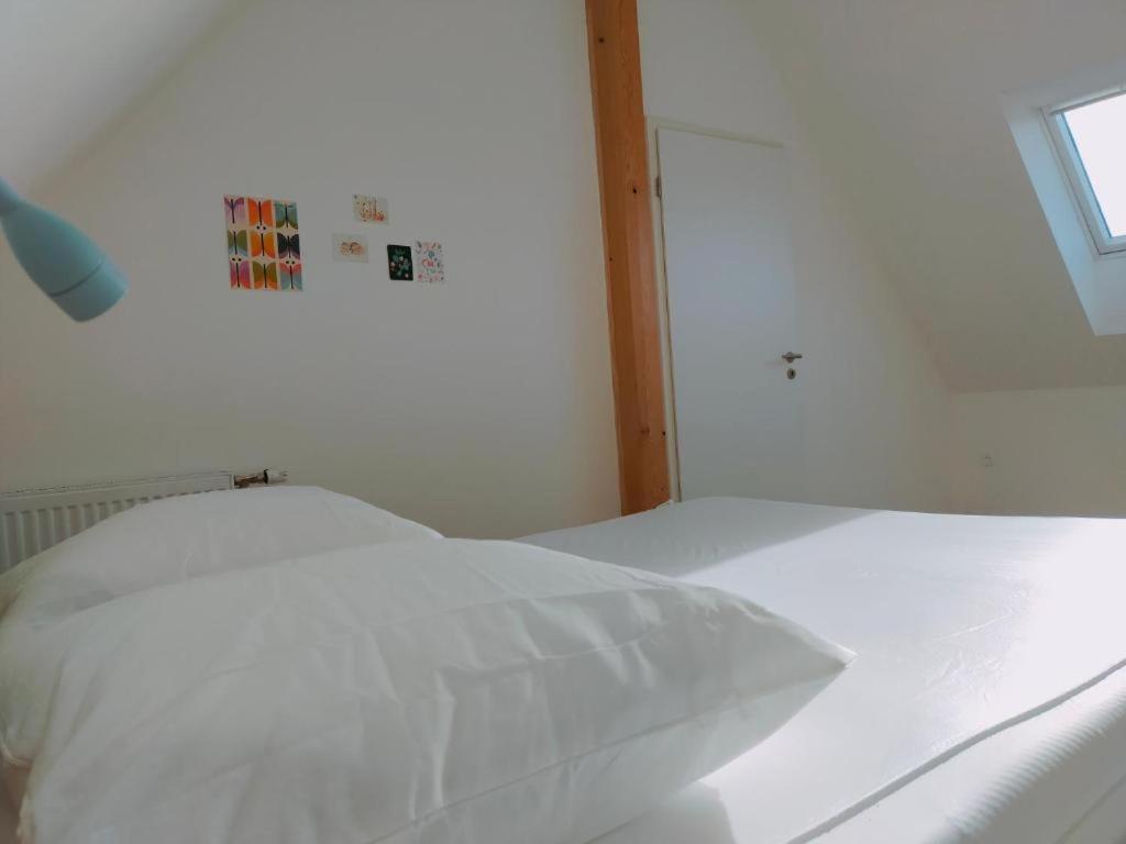 Gite Des 3 Cigognes Colmar Exterior photo